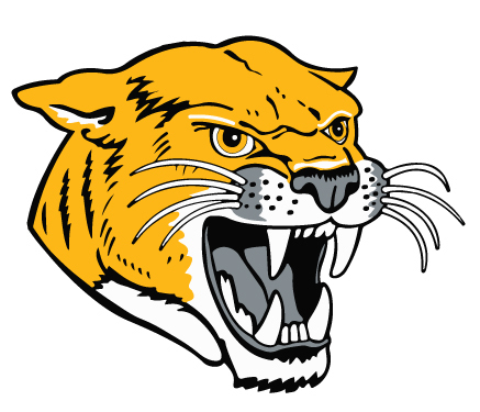 Illini Central Athletic Update