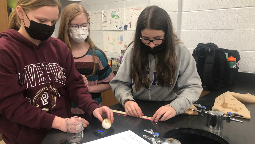 Students Participating in Egg Lab