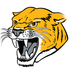 Illini Central Cougars Basketball